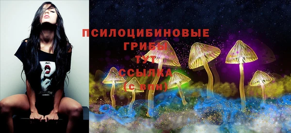 MESCALINE Нефтегорск